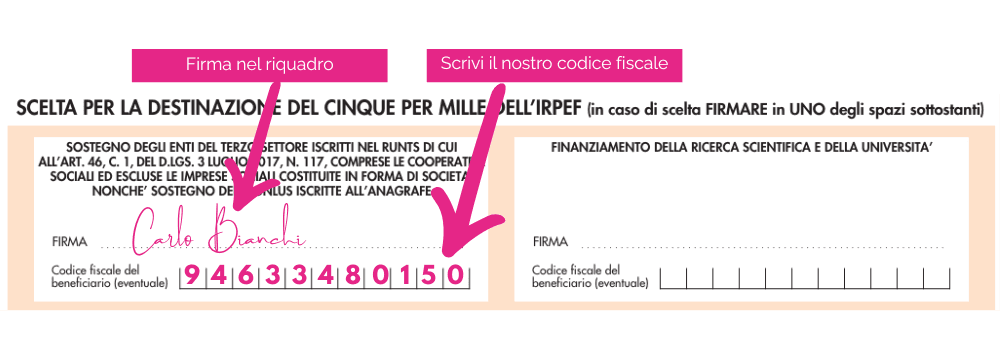 new_5x1000